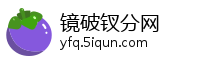 镜破钗分网